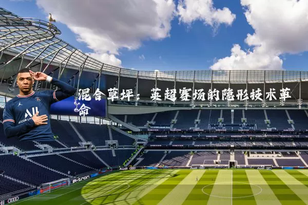 混合草坪：英超赛场的隐形技术革命